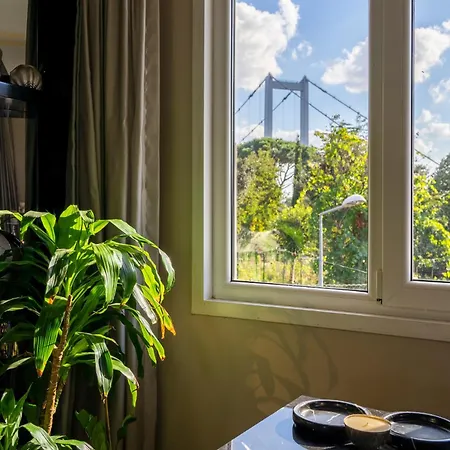 Bosphorus View Quadruplex W Terrace * Istanbul