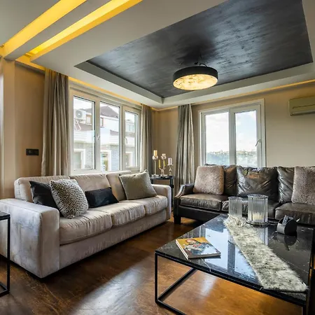 Bosphorus View Quadruplex W Terrace ヴィラ *